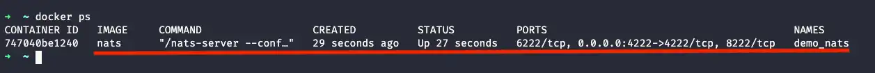 /posts/nats-primeros-pasos/docker-ps.webp